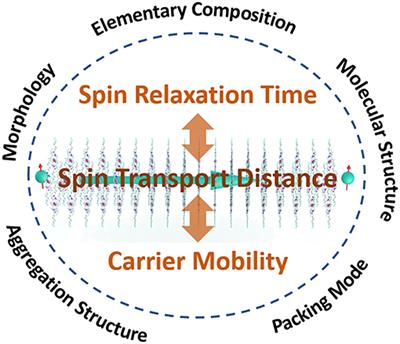 Spin Transport in Organic Molecules